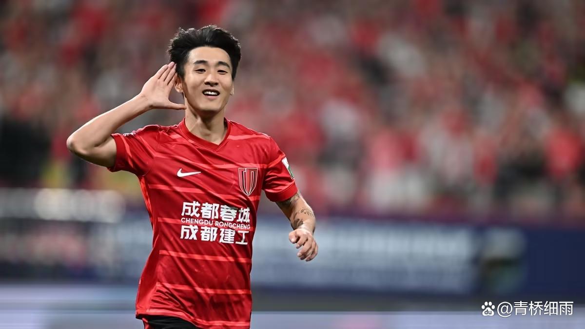 转会期上海申花备战意甲凯恩在中国队比赛中精彩发挥之后，风云突变休斯敦火箭今晚回应争议的简单介绍